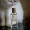 Sandalwood Masoya 100ML