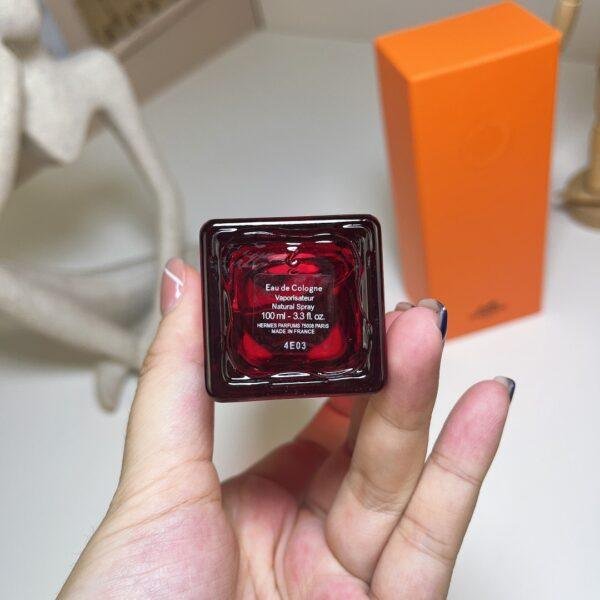 Scarlet Fire Ginseng (Blood-colored Rhubarb) 100ml
