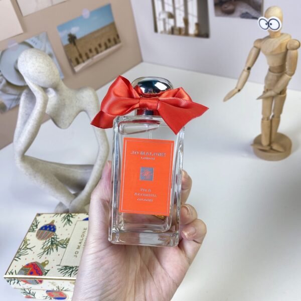 Fir & Artemisia 100ml