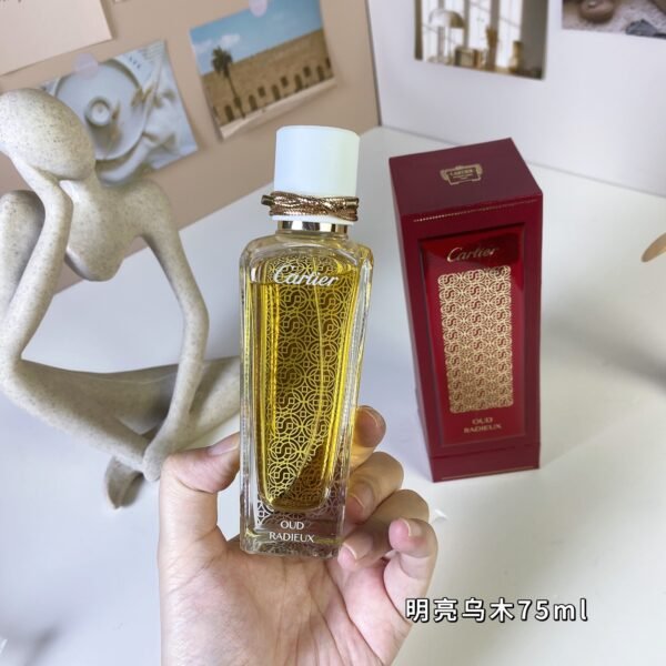 Oud Radieux Bright Ebony 75ml | BGD Wholesale & Retail Platform Oud Radieux Bright Ebony 75ml perfume bottle on BGD Wholesale & Retail Platform