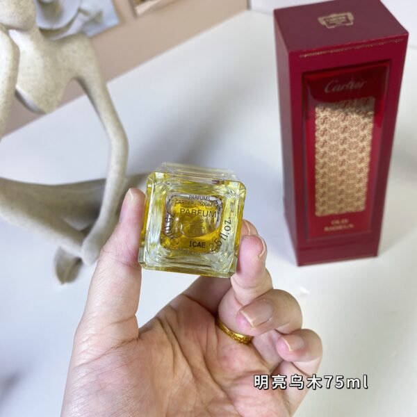 B4 Oud Radieux, 2015, Bright Ebony 75ml