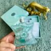 Saintess Peaceful Aura Perfume 100ml premium Eau de Parfum fragrance
