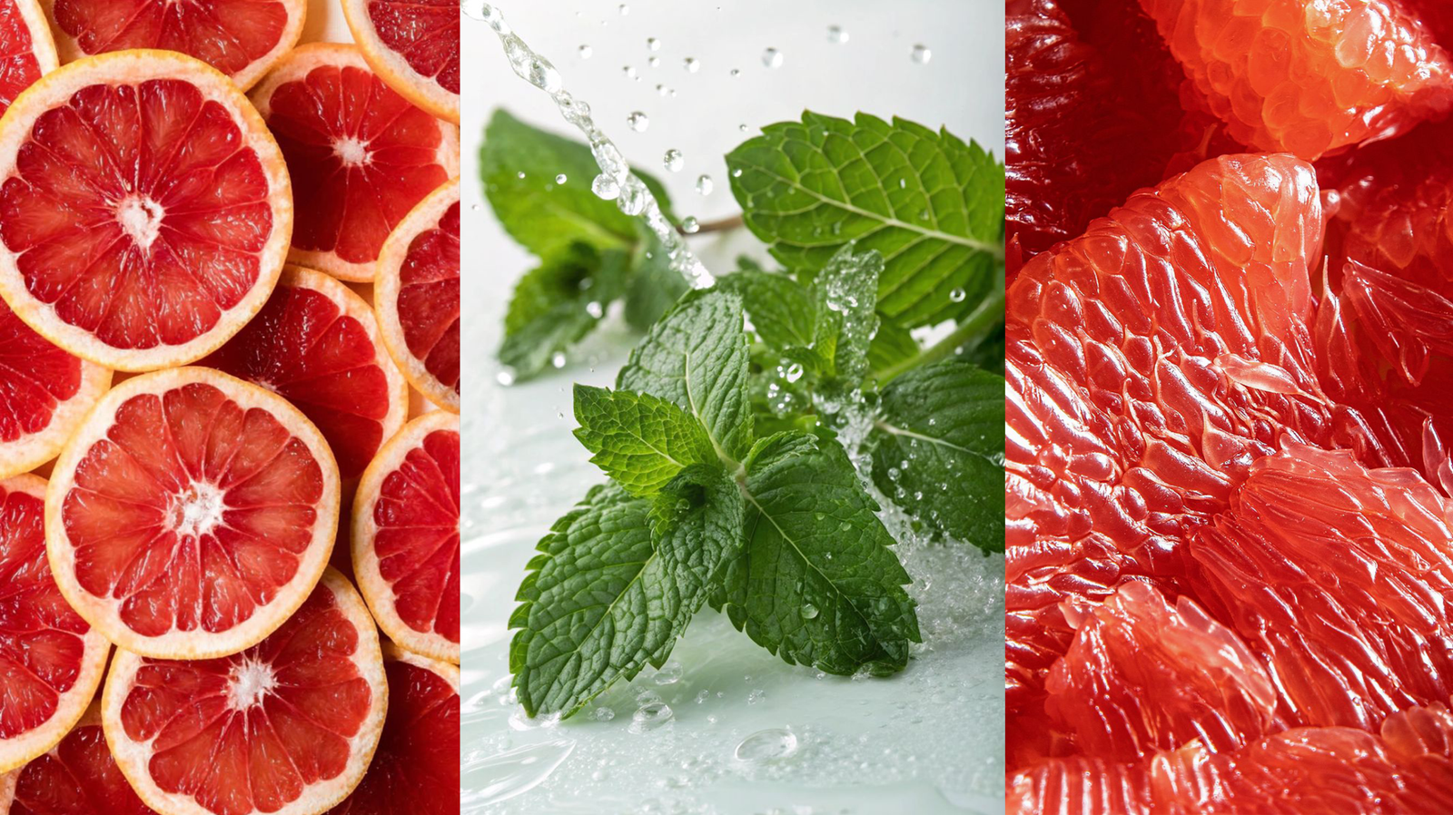 Juicy red orange, grapefruit slices and fresh mint leaves, top note ingredients of PACO RABANNE 1 Million perfume