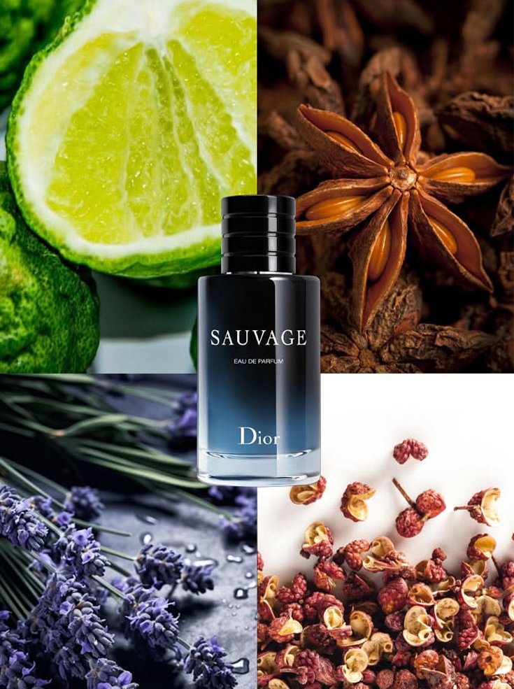 Dior Sauvage men's perfume with bergamot, lavender, pink pepper, and aromatic fragrance notes | BGD Wholesale & Retail Platform