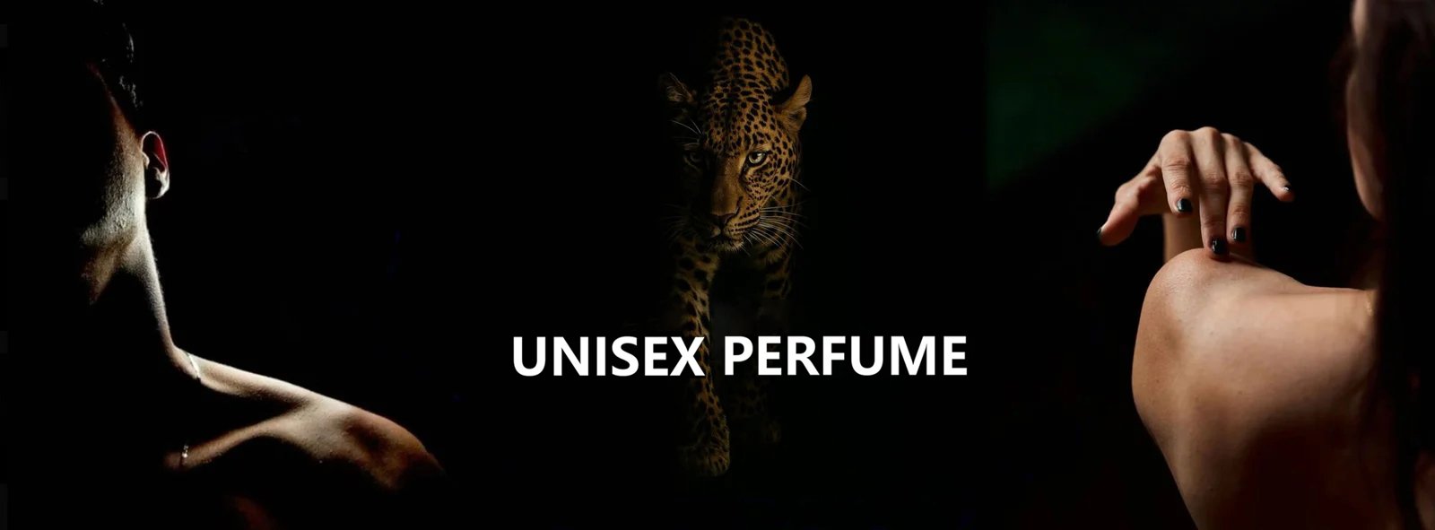 BGD unisex perfume wholesale collection with versatile fragrances for men and women